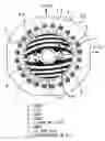 Fig. 01 - Rotor of synchronous induction motor and compressor