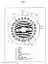 Fig. 02 - Rotor of synchronous induction motor and compressor
