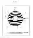 Fig. 06 - Rotor of synchronous induction motor and compressor