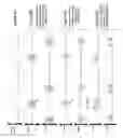 Fig. 09 - Acoustic data coupling system and method
