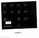 Fig. 13 - Organic light-emitting diodes and methods for assembly and emission control