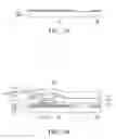 Fig. 02 - METHOD OF MANUFACTURING DUAL EMISSION DISPLAY AND DUAL EMISSION DISPLAY MANUFACTURED THEREBY