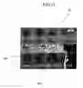 Fig. 13 - Plasma display panel having buffer areas along the periphery of display area