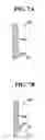 Fig. 08 - Battery protection device and battery having the same