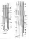 Fig. 04 - Apparatus and method for measuring physiological characteristics of an intact trachea in vitro