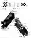 Fig. 10 - Cantilever microprobes for contacting electronic components and methods for making such probes