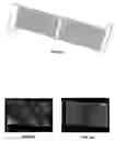 Fig. 19 - Cantilever microprobes for contacting electronic components and methods for making such probes