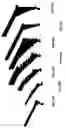 Fig. 31 - Cantilever microprobes for contacting electronic components and methods for making such probes