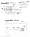 Fig. 16 - Composite motion probing