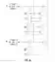 Fig. 07 - High voltage driver circuit with fast slow voltage operation