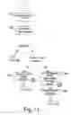 Fig. 15 - TERMINAL FOR LIBRARIES AND THE LIKE