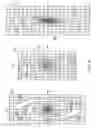 Fig. 03 - Antenna for a backscatter-based RFID transponder