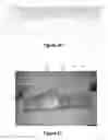 Fig. 17 - LOW-FREQUENCY RADIO TAG ENCAPSULATING SYSTEM