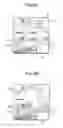 Fig. 07 - Display device for working machine