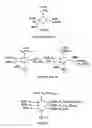 Fig. 22 - Look-up table structure with embedded carry logic