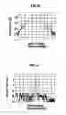 Fig. 12 - Triplate-type planar array antenna