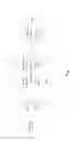 Fig. 02 - Burning apparatus