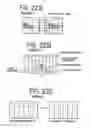 Fig. 22 - Display device