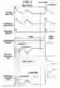 Fig. 05 - Picture display device and method of driving the same