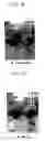 Fig. 12 - Screen image presentation apparatus and method for mobile phone