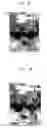 Fig. 18 - Screen image presentation apparatus and method for mobile phone