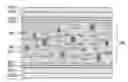Fig. 01 - Wide viewing angle liquid crystal display and a method for achieving wide viewing angle effect