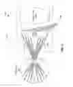 Fig. 04 - Retinal topography diffractive fundus lens
