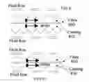 Fig. 07 - Direct measurement of Brillouin frequency in distributed optical sensing systems