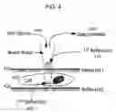 Fig. 05 - SYSTEMS AND PROCESSES FOR PROVIDING ENDOGENOUS MOLECULAR IMAGING WITH MID-INFRARED LIGHT