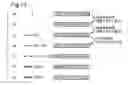 Fig. 14 - Image output system for outputting image based on information of number of dots to be formed in predetermined area