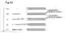 Fig. 44 - Image output system for outputting image based on information of number of dots to be formed in predetermined area