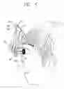 Fig. 05 - Compact optical apparatus for head up display