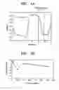 Fig. 05 - Perpendicular magnetic recording medium with controlled damping property of soft magnetic underlayer