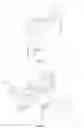 Fig. 07 - Buckle-mounted light