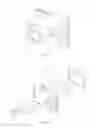 Fig. 08 - Buckle-mounted light
