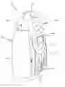 Fig. 01 - Portable lighting device