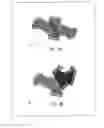 Fig. 15 - Lighting device
