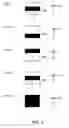 Fig. 04 - Illumination device, image display device, and projector