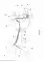 Fig. 07 - Vehicle mirror system with light piping element