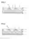 Fig. 04 - Light diffusing sheet and backlight unit using the light diffusing sheet