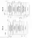 Fig. 04 - Current-switched spin-transfer magnetic devices with reduced spin-transfer switching current density