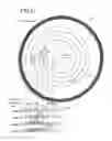 Fig. 32 - Optical disc