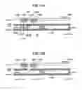 Fig. 09 - Audio data reproducing method and program therefor