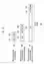 Fig. 11 - Apparatus and method for transmitting and receiving a RACH signal in SC-FDMA system