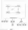 Fig. 02 - Apparatus and method for extending functions from a high end device to other devices in a switching network