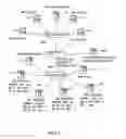 Fig. 02 - Communication system