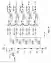 Fig. 05 - Temperature sensor