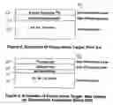 Fig. 03 - Diamond based proton beam target for use in contraband detection systems