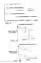 Fig. 05 - Methods to evaluate images, video and documents