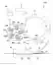 Fig. 01 - Image forming apparatus wherein a carrier weight ratio in a first supply container and carrier weight ratio in a second supply container are substantially equal to each other